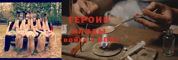 тгк Дмитриев