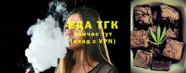 тгк Дмитриев