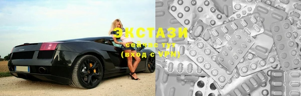 тгк Дмитриев