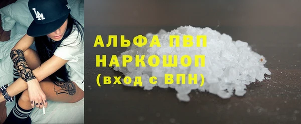 тгк Дмитриев