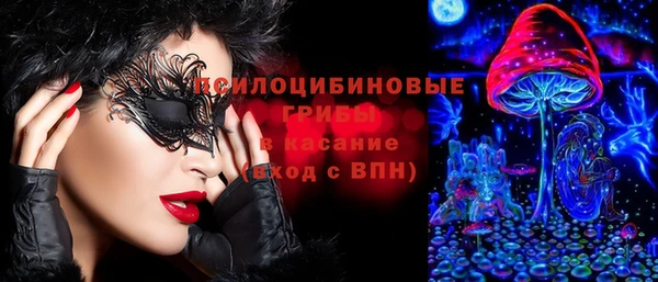 дмт Дмитровск