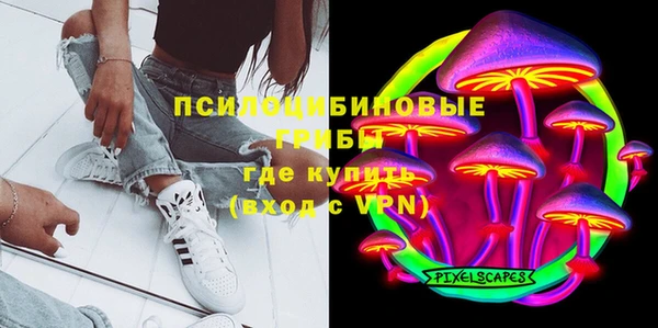 тгк Дмитриев