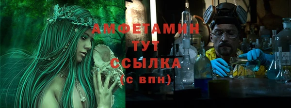 тгк Дмитриев