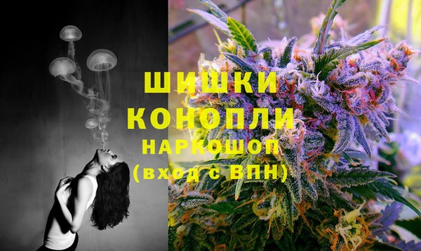 дмт Дмитровск