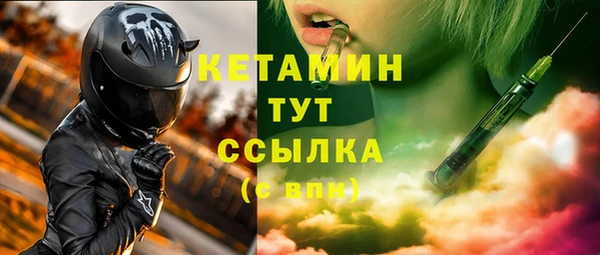 тгк Дмитриев